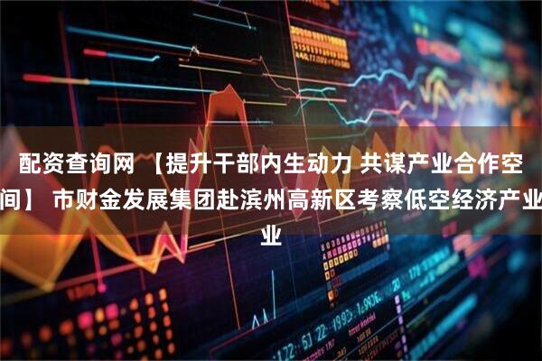 配资查询网 【提升干部内生动力 共谋产业合作空间】 市财金发展集团赴滨州高新区考察低空经济产业