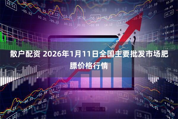 散户配资 2026年1月11日全国主要批发市场肥膘价格行情