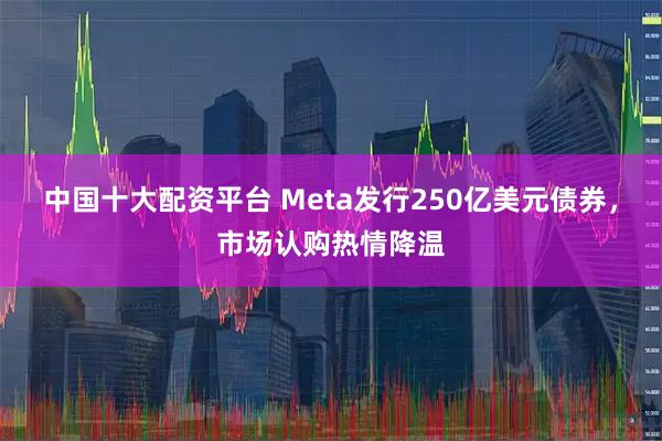中国十大配资平台 Meta发行250亿美元债券，市场认购热情降温